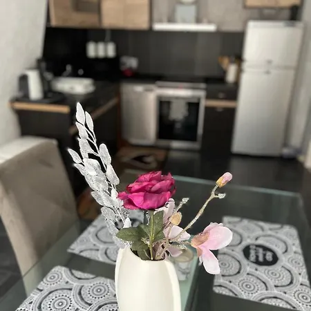 Schoene 3 Apartment Oberwesel